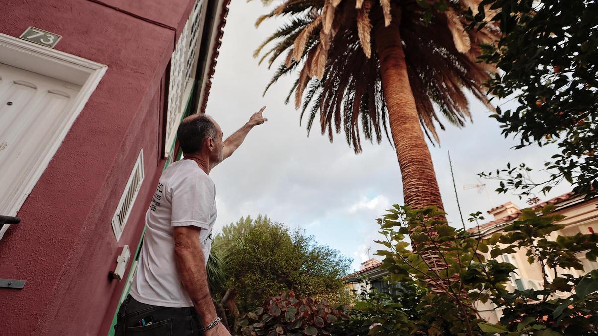 Uno de los vecinos señala el foco de las ratas, en su opinión.