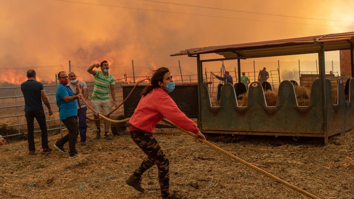Una mujer ayuda en las tareas de extinción de un incendio cerca de una nave ganadera en Vegalatrave.