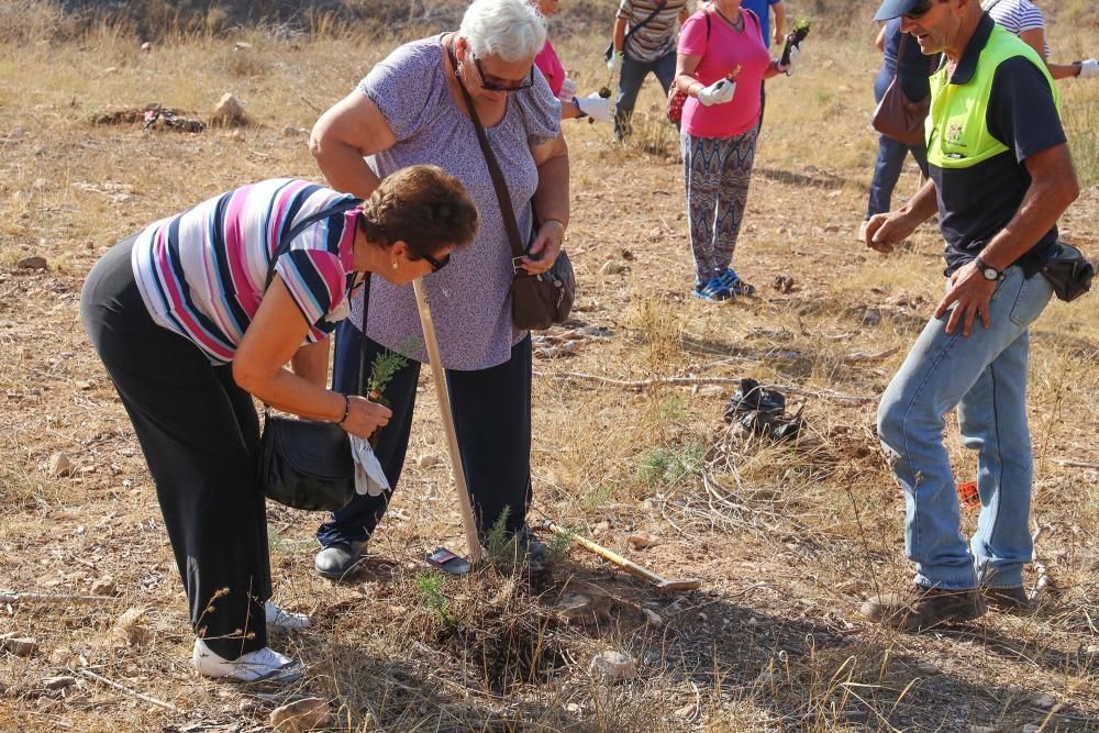 La Tercera Edad participa en la plantación de un centenar de árboles