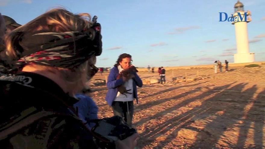 Los fotógrafos toman Formentera