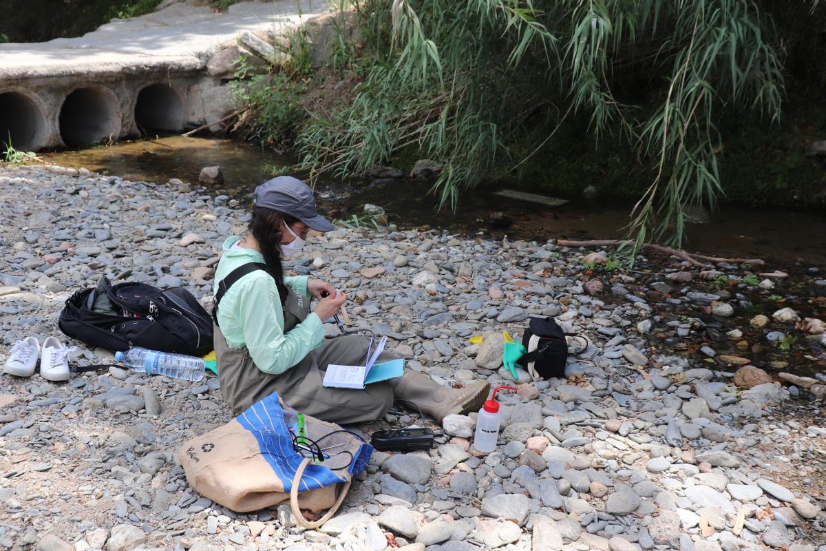 Una investigadora pren mostres en un ecosistema fluvial, una de les línies de treball vinculades a la recerca del CEAB sobre l’aigua i la biodiversitat