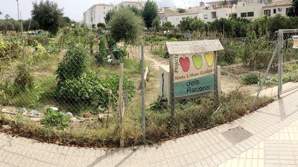 Altea reanuda la formación en agricultura ecológica para huertos urbanos