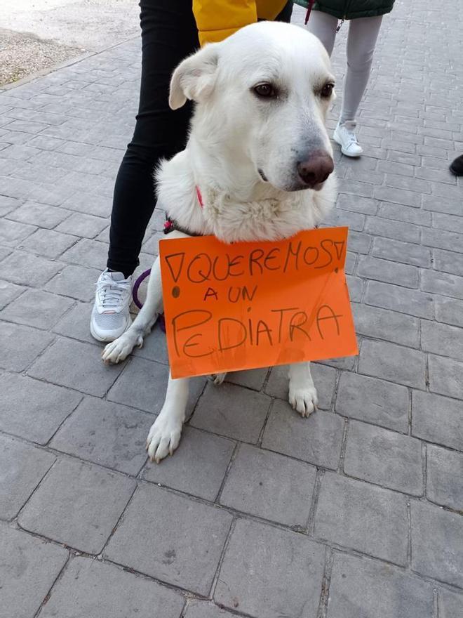 Un perro también se ha sumado a la protesta en el consultorio auxiliar de Elda.