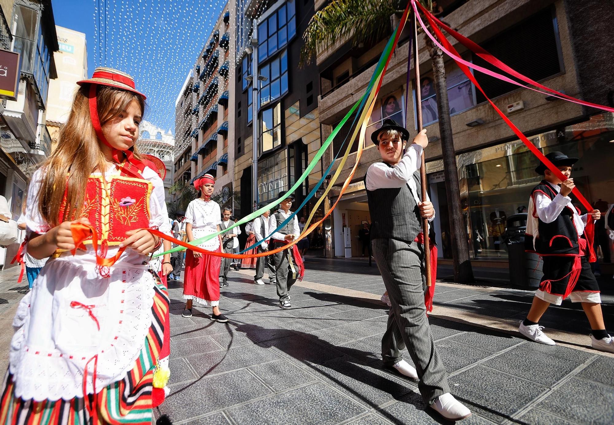 Segundo paseo romero escolar de Santa Cruz