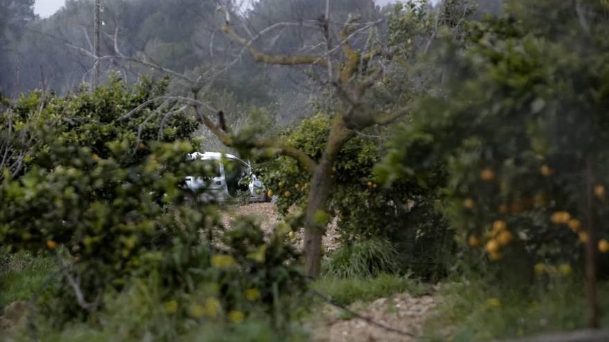 La finca en la que apareció ayer el cadáver del anciano, en sa Cabaneta.