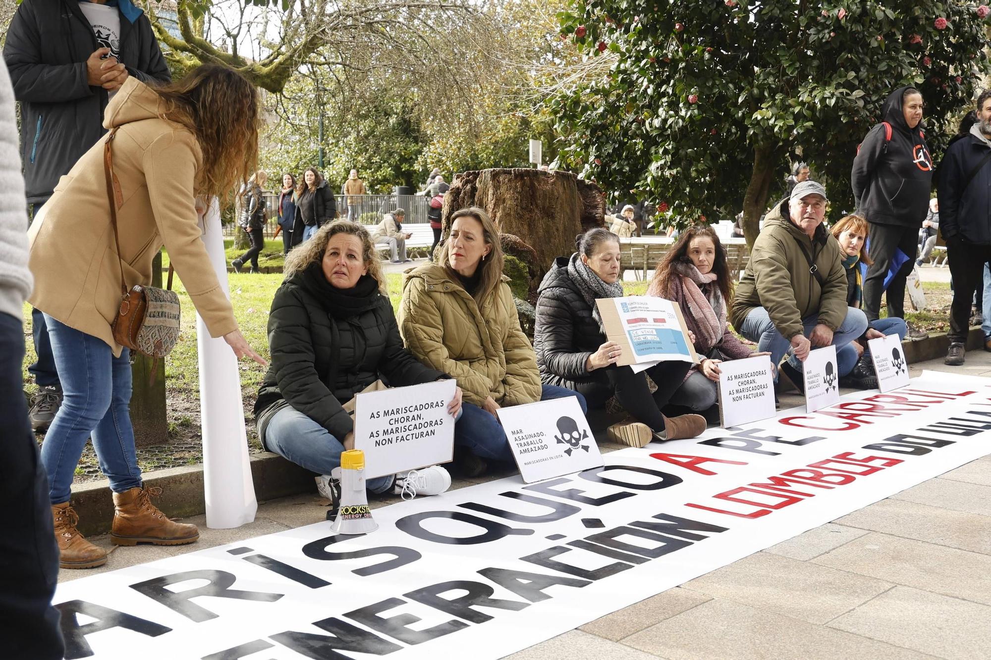 FOTOGALERÍA | Multitudinaria manifestación en Santiago contra la gestión del vertido de pélets