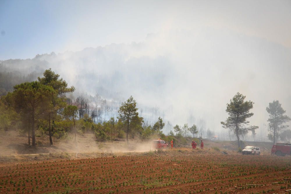 Imagen del incendio forestal en Bocairent