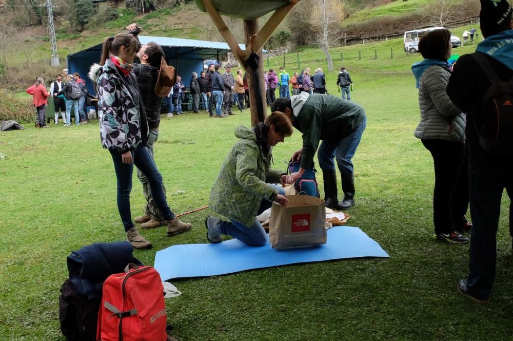 Romería en Piedracea, fiestas de la Flor de Lena