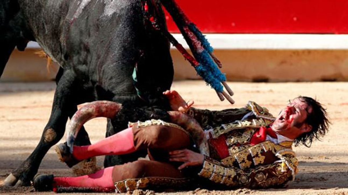 El torero Juan José Padilla rep una forta cornada. El torero Juan José Padilla rep una forta cornada.