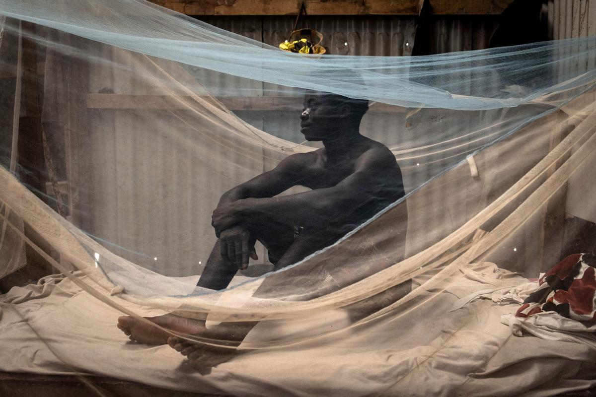 Estos son los trabajadores que construyen la nueva ciudad de Diamniadio (Senegal)