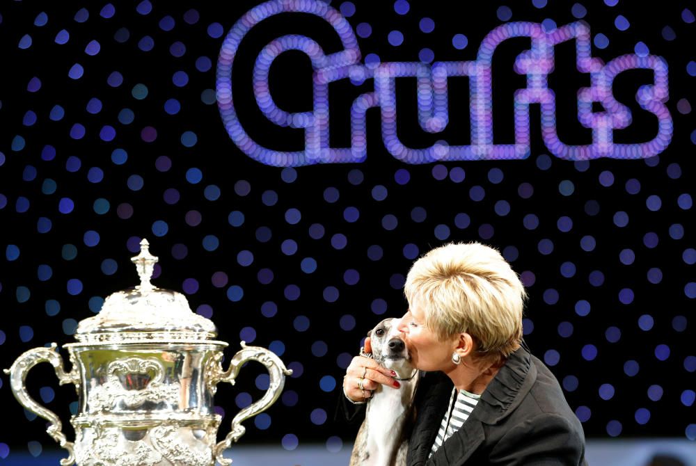 Crufts Dog Show, l'exhibició de gossos més gran d'Anglaterra