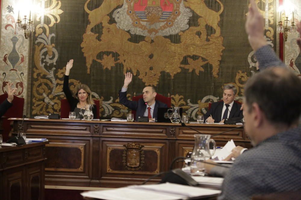 El pleno aprueba por unanimidad la retirada de las calles franquistas de Alicante