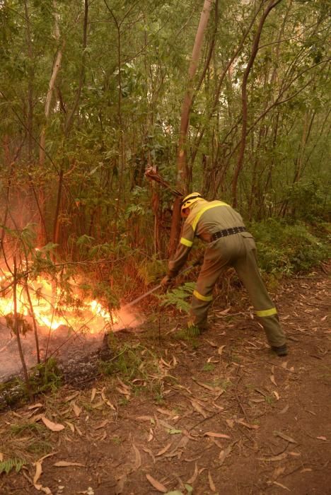 El fuego arrasa 6.000 hectáreas en Galicia