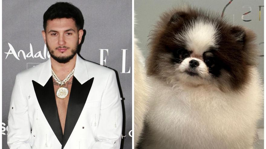 Omar Montes busca a su perro desaparecido: ofrece una recompensa &quot;fuerte&quot;