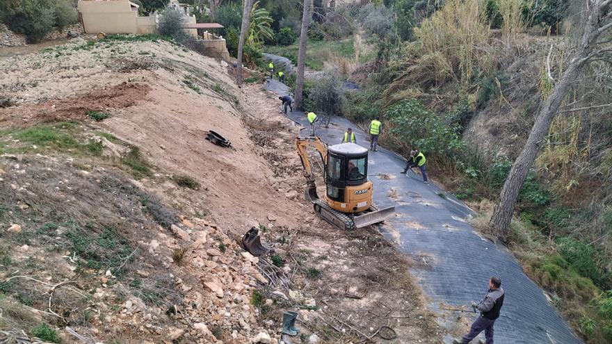 La CHJ repuebla con especies autóctonas la ribera del barranco de La Olla de Altea