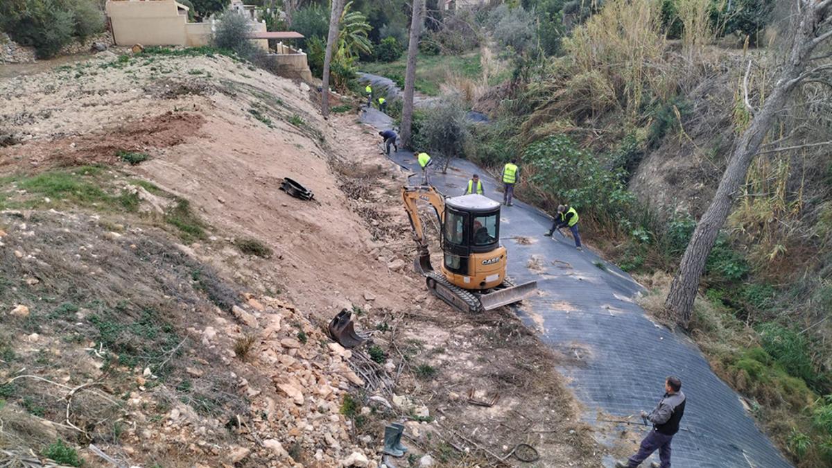 La Olla de Altea La CHJ repuebla con especies autóctonas la ribera del