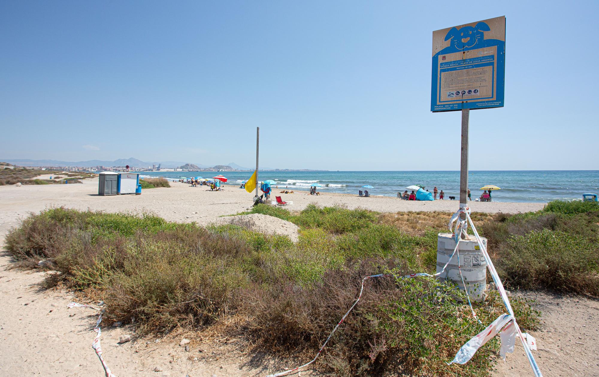 Aguamarga, una playa de perros