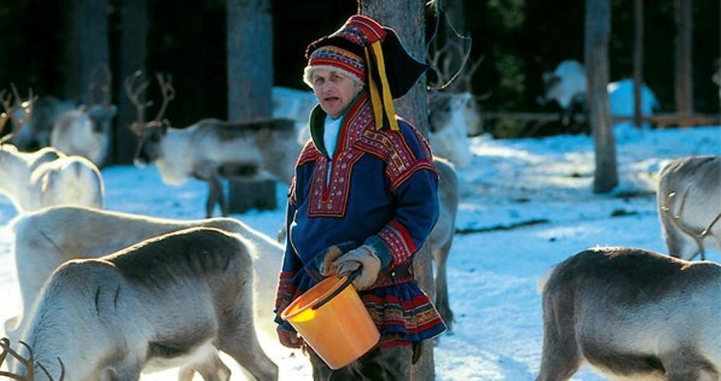 La Laponia finlandesa proporciona a los viajeros fascinados porel norte de Europa numerosas activida