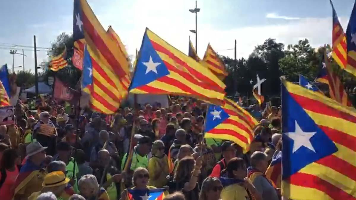 whatsapp-video-2019-07-02-at-083035