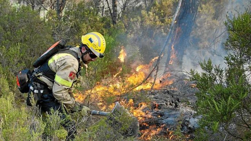 Un bomber intentant apagar les flames de l&#039;incendi que afectava l&#039;àrea forestal de Blanes