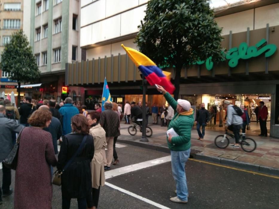 Manifestación por la oficialidad del Asturianu