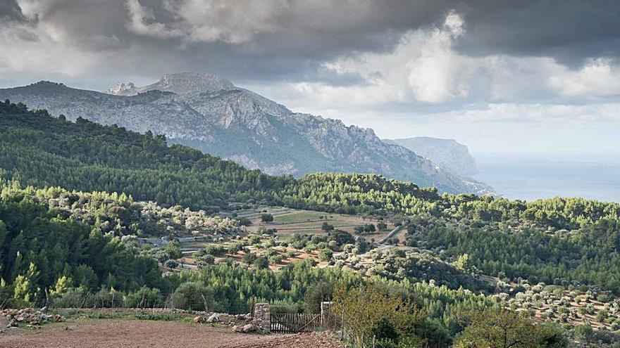 Finca pública de Planícia. |