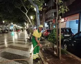 Gandia refuerza el riego de los árboles ante la sequía