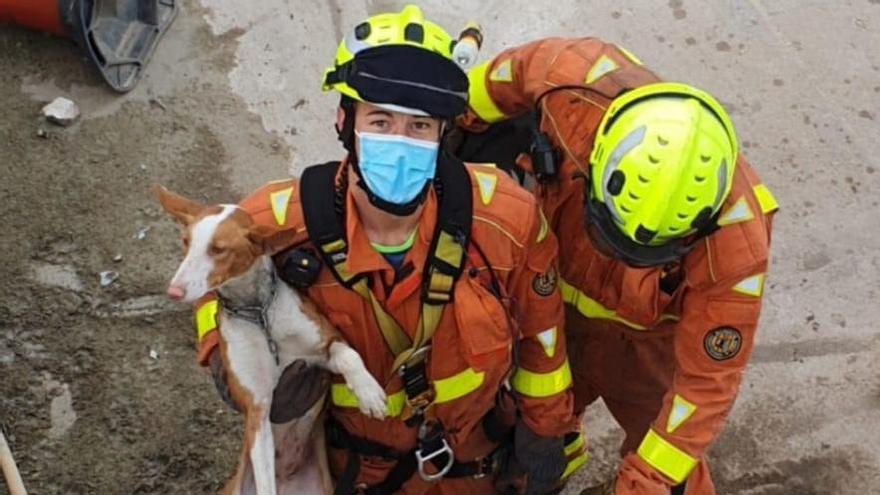 Bomberos rescatan a un perro atrapado en una balsa de cuatro metros de profundidad