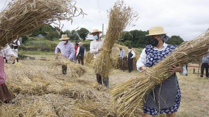 A Malla Tradicional celebrouse sen público o ano pasado por mor da pandemia. | // BERNABÉ/ANA AGRA