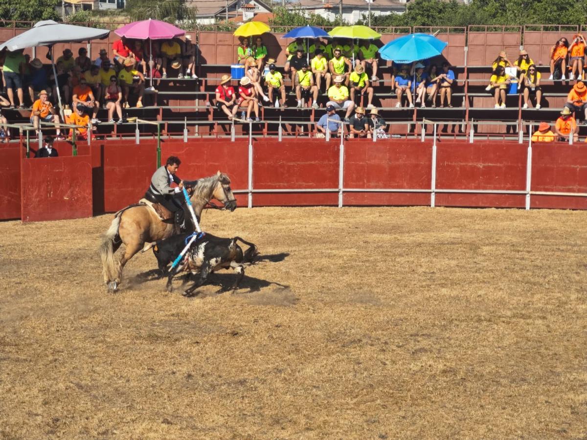 GALERÍA| Tarde de toros en Alcañices