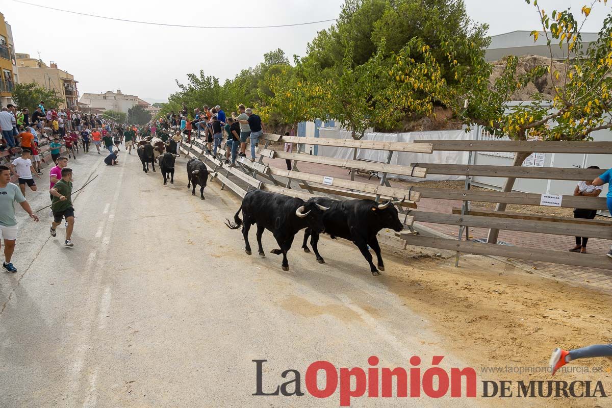 Primer encierro de la Feria Taurina del Arroz en Calasparra