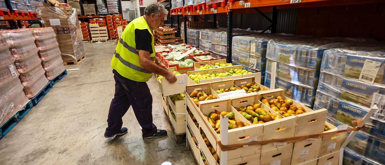 Instalaciones del Banco de Alimentos de Alicante con comida lista para el reparto, este martes