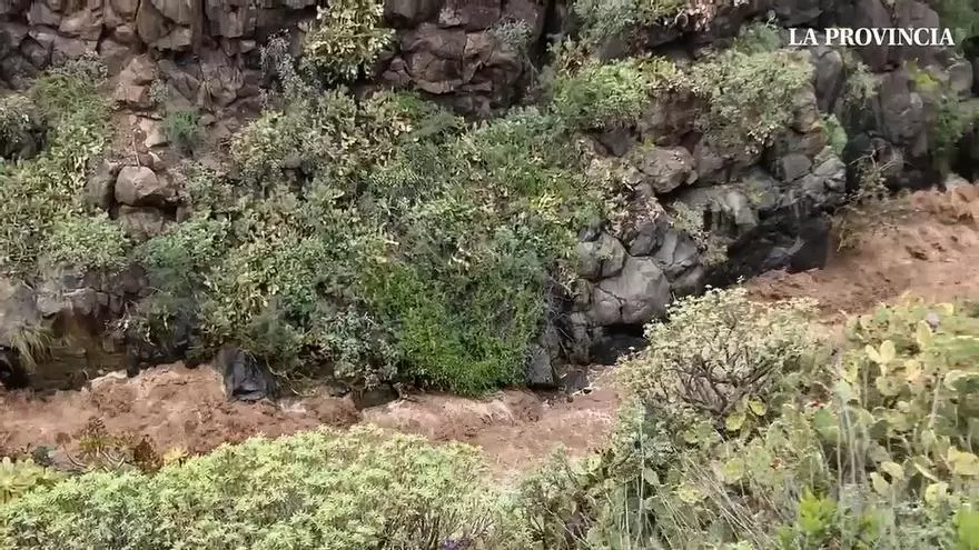 Tinocas en Costa Ayala