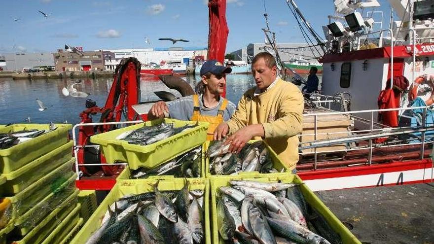 Dos marineros del cerco descargan cajas de sardina. // Jesús de Arcos