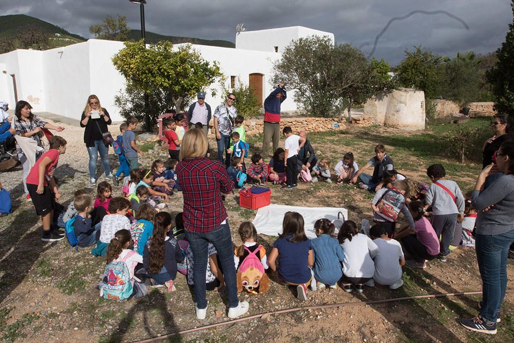 Alumnos de Can Cantó celebran una trencada en la Finca de Can Tomeu.