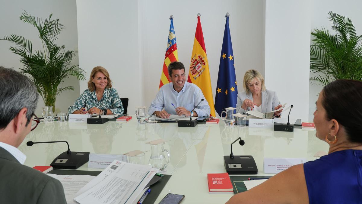 Pleno del Consell en Alicante