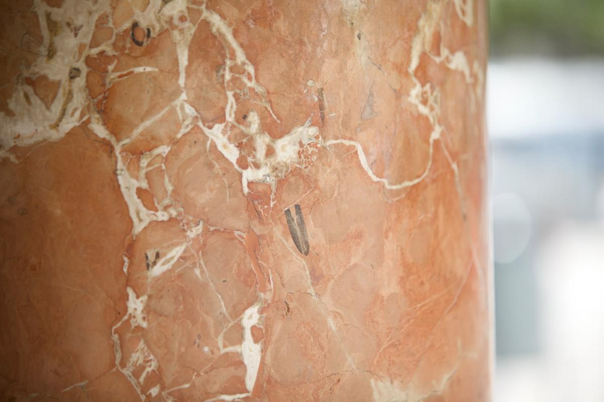 Un belemnite (pariente lejano de los calamares de hoy) en la columna del Teatro Olympia.