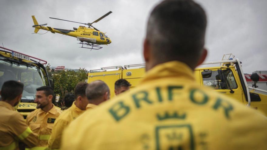 Tenerife Cabildo Staff Shrinks 29% Amid Outsourcing Dispute