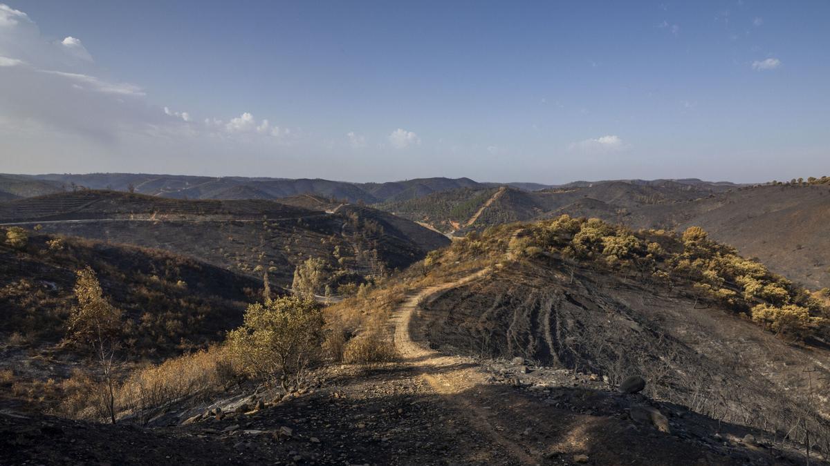 Vista de la tierra quemada de la localidad de Berrocal, Huelva.