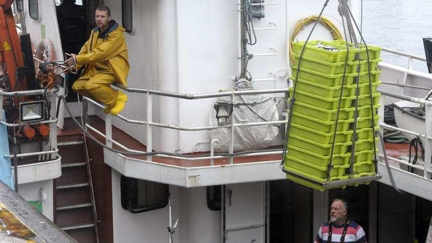 Los marineros de un pesquero descargan sus capturas de anchoa en el puerto de A Coruña.