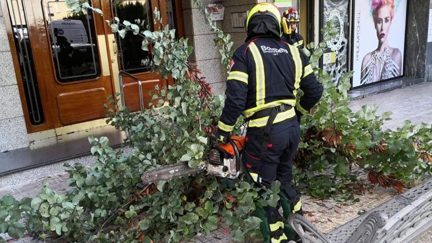 Los bomberos retirando una rama en Padre Manjón de Elda