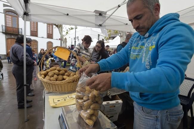 Fiesta de la Papa