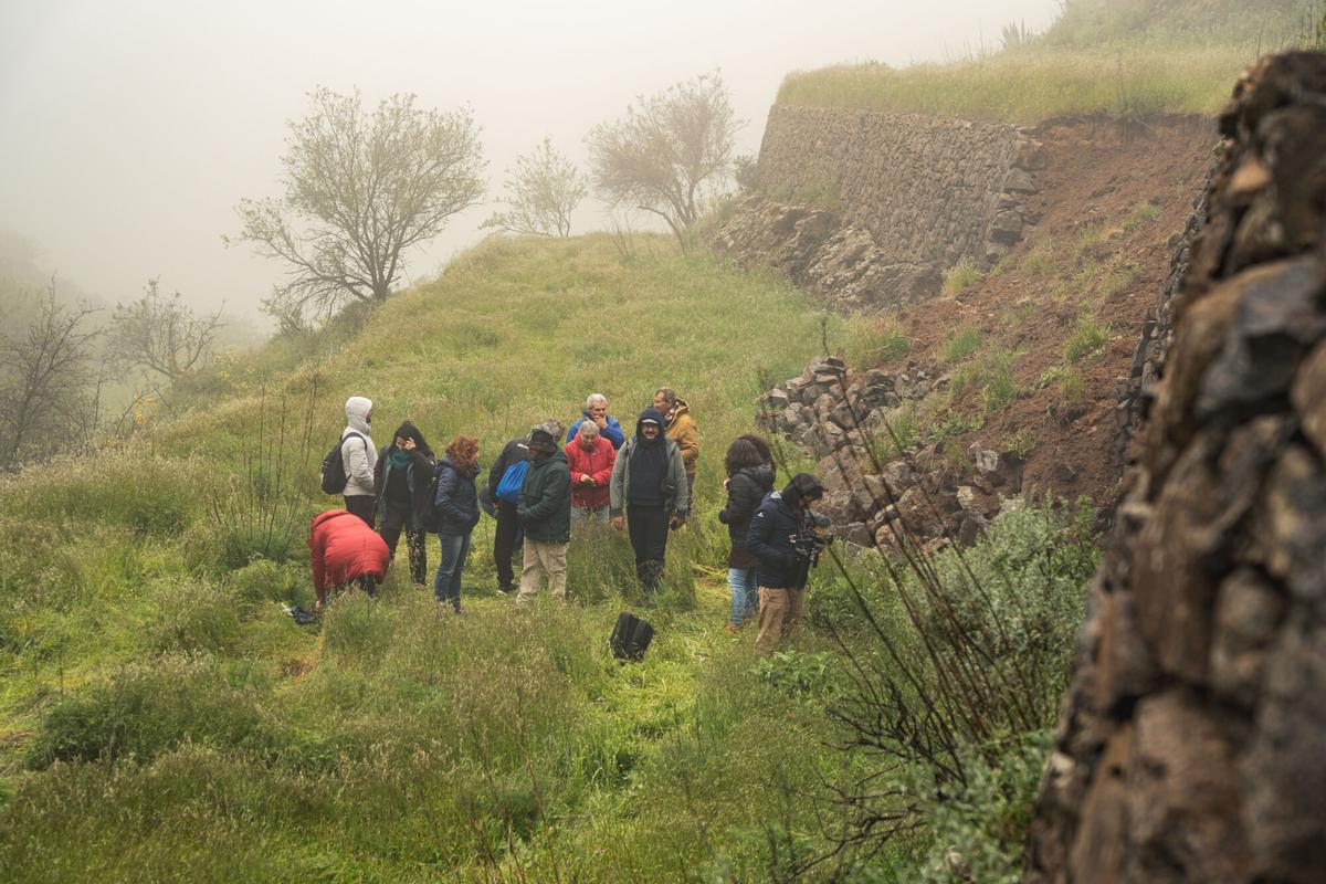 Actividades del encuentro Piedra Viva.