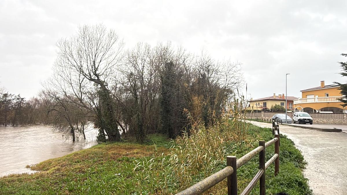 Nivellde la Muga, aquest dimarts al matí, a Castelló d'Empúries