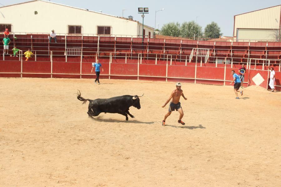 Fiestas en Zamora: Villamor de los Escuderos