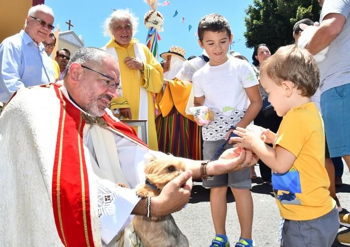 05/08/2019 LOMO MAGULLO. TELDE. Procesión de la Virgen de Las Nieves y pase de mascotas al finalizar el acto.   Fotógrafa: YAIZA SOCORRO.  | 05/08/2019 | Fotógrafo: Yaiza Socorro