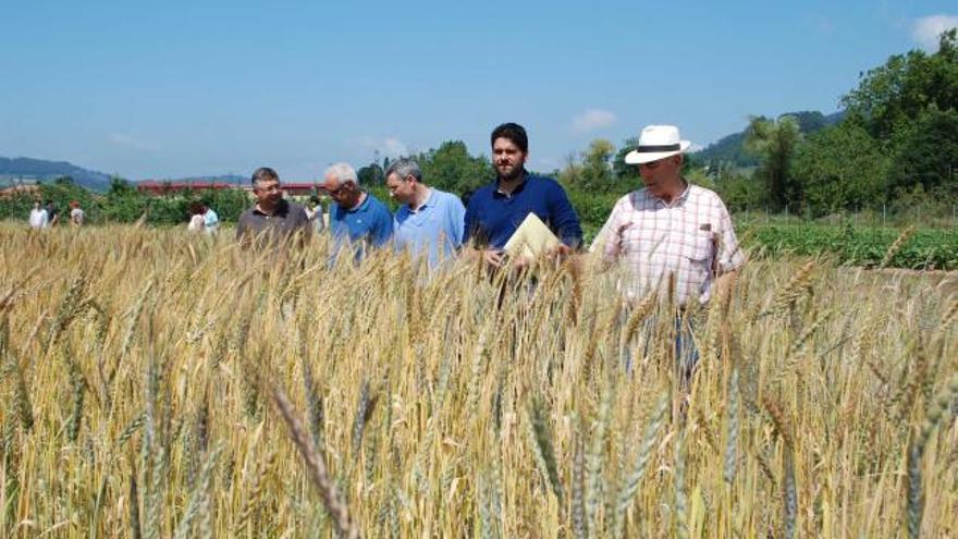 Por la izquierda, Juan José Ferreira, Guillermo García, Antonio Martínez, Enrique Malo y Rafael Estrada, ayer, en la finca experimental del Serida.