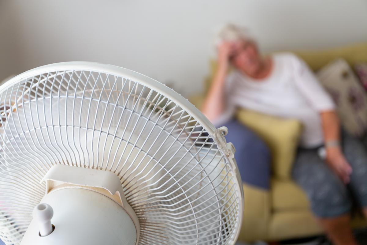 Los ventiladores, un recurso para atenuar la sensación de calor.