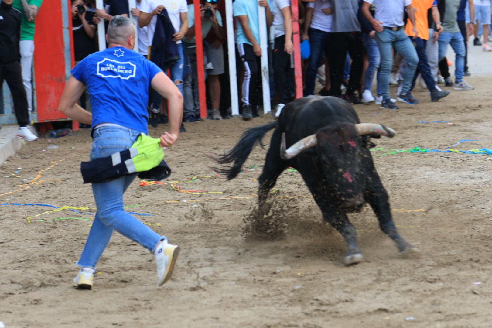 Fotos de la tarde taurina del jueves de las fiestas de Sant Pasqual en Vila-real