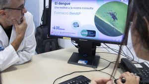 Deu CAPs participen en una prova pilot per detectar casos de dengue autòcton